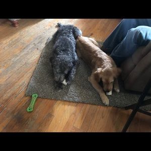 Meet your Posher, Sharon